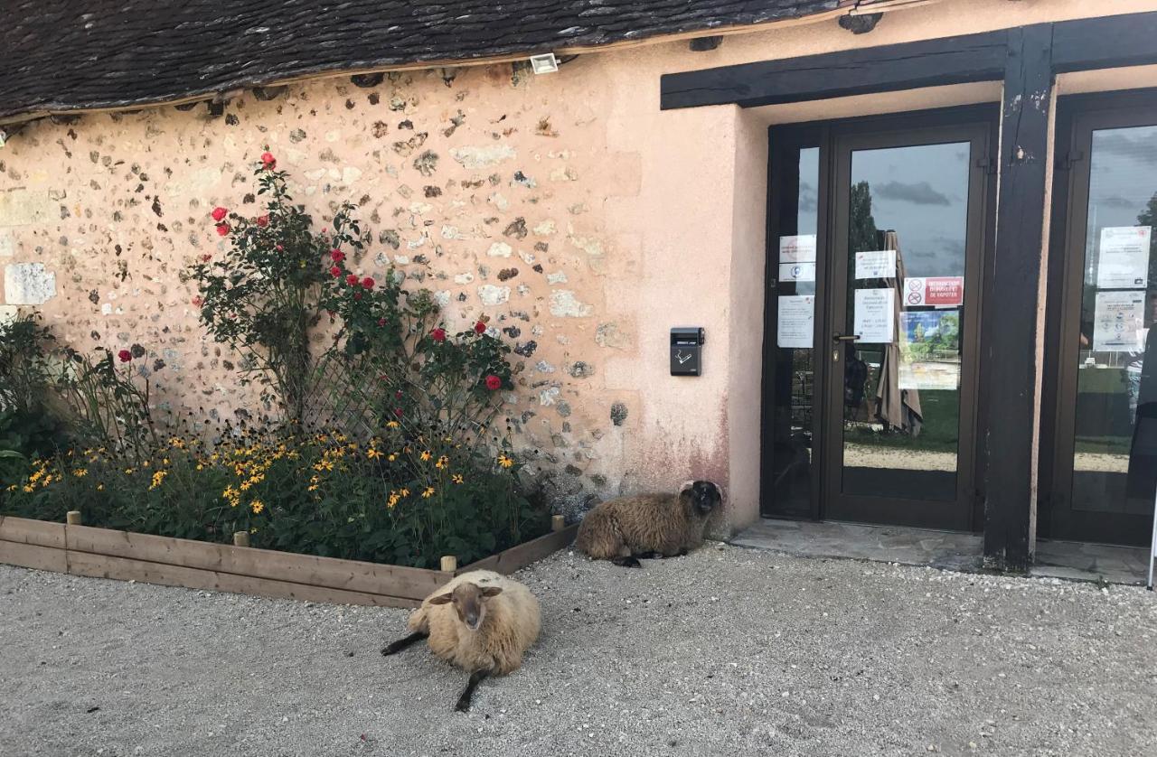 Le Domaine Du Bois Coquet Hotel La Douze Luaran gambar