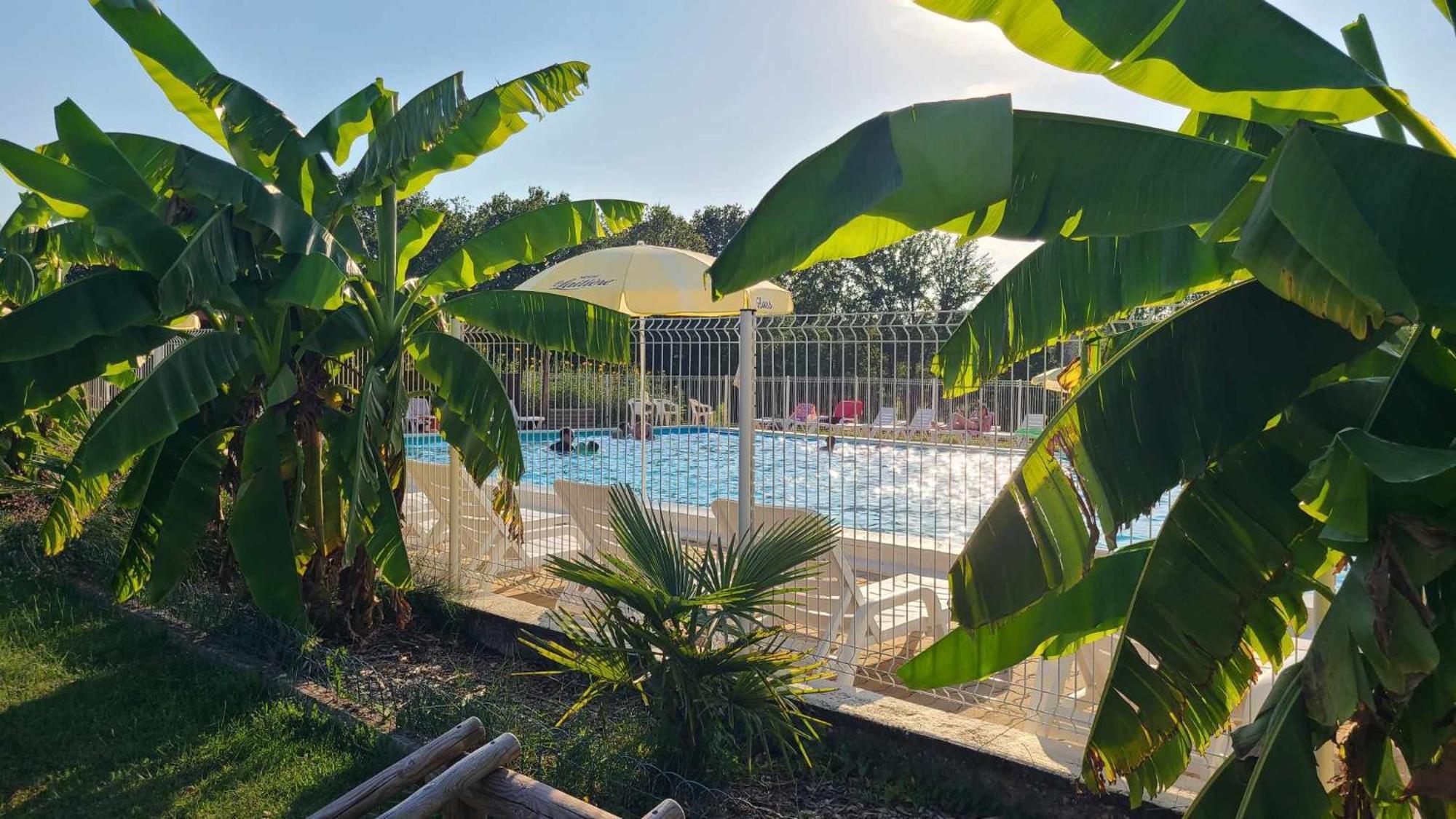 Le Domaine Du Bois Coquet Hotel La Douze Luaran gambar